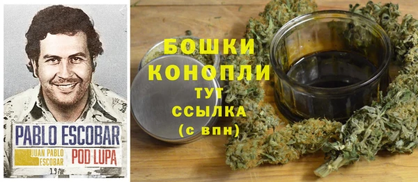 твердый Костерёво